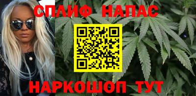 спиды Кимры