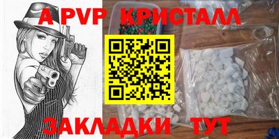 спиды Кимры