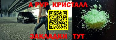 спиды Кимры