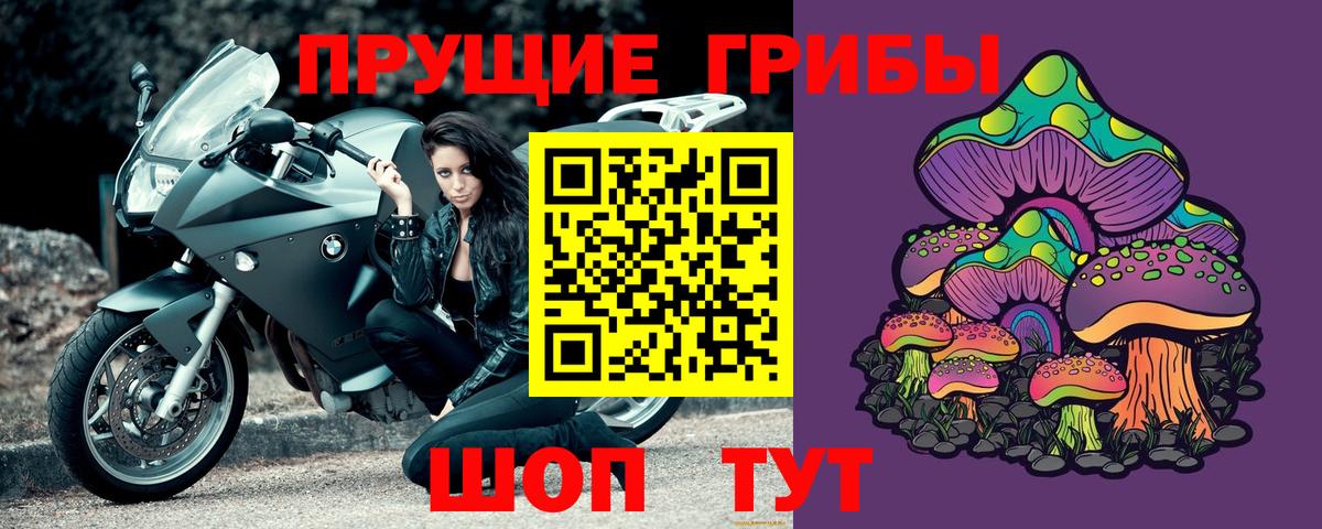 Кострома  Псилоцибиновые грибы Psilocybine cubensis  Вход с VPN  Галлюциногенные грибы Cubensis 