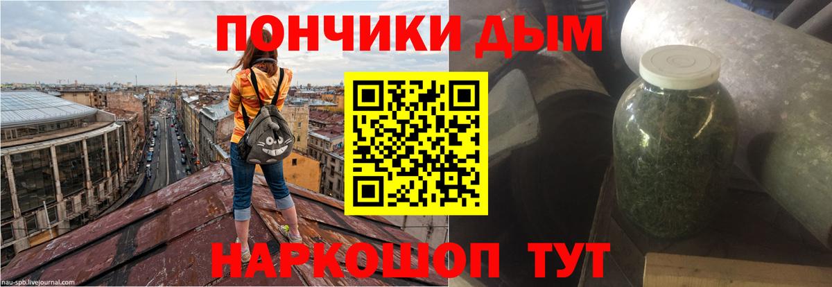 Бошки Шишки гибрид Кострома